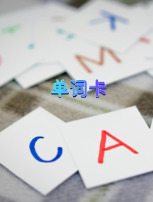 解锁未来市场密码：AI动漫学能社的技术与梦想