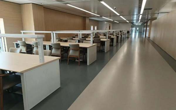 AI动漫学能社：在创意与市场中寻找平衡的艺术家